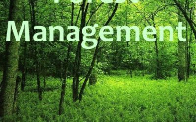 FOREST MANAGEMENT IN INDIA